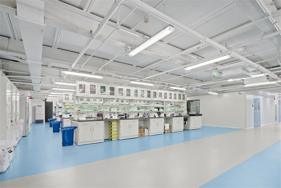 实验室装修